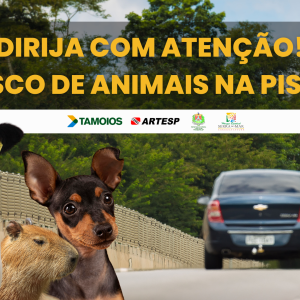 Concessionária Tamoios reforça ações de conscientização sobre o risco de atropelamento de animais na rodovia